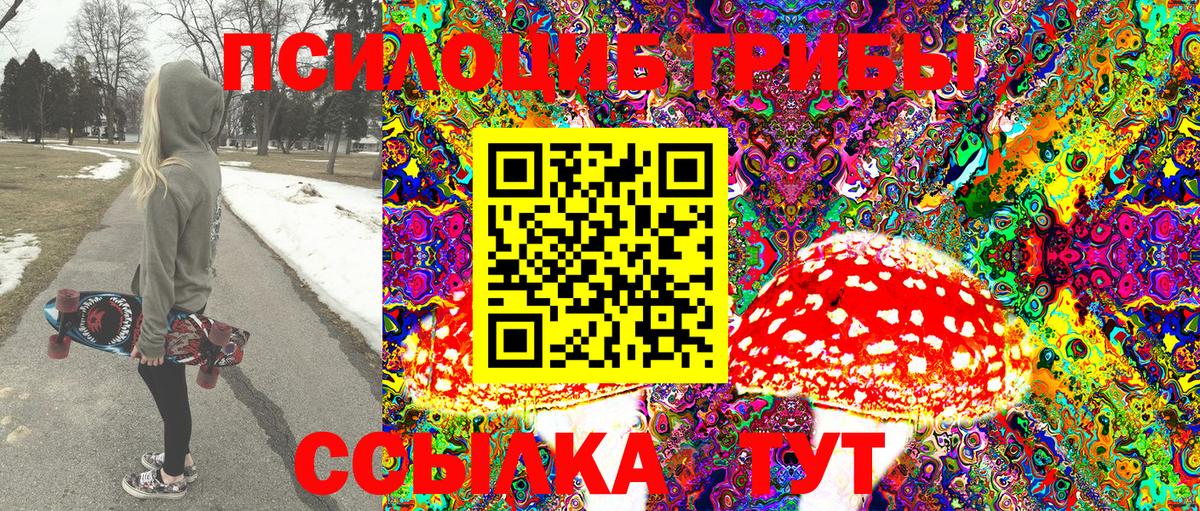 Сергиев Посад  Псилоцибиновые грибы Psilocybe  Вход с VPN 